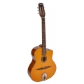 Guitare Manouche RICHWOOD RM-70-NT Petite bouche