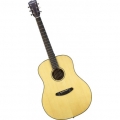 Guitare BREEDLOVE DSD21 Discovery Western