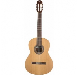 Guitare José TORRES JTC-5 SB