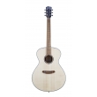 Guitare BREEDLOVE DSSO212