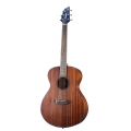 Guitare BREEDLOVE DSSC11