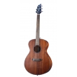 Guitare BREEDLOVE DSSC11