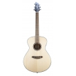 Guitare BREEDLOVE DSSC21L Gaucher