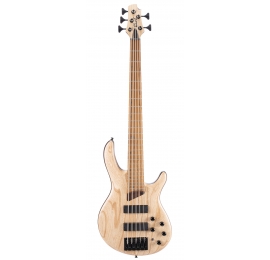 BASSE CORT B5 Elément naturel pores ouverts 5 cordes