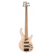 BASSE CORT B5 Elément naturel pores ouverts 5 cordes