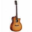 Guitare ALVAREZ Artist Série AGE95 CE SHB