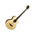 Basse acoustique LAG T177BCE électro-acoustique