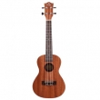 Ukulélé PRODIPE Concert BC210