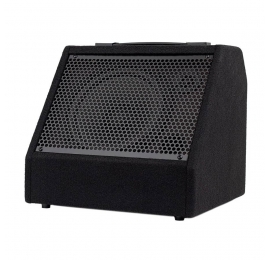 Ampli pour batterie électronique HAYMAN DDM-30