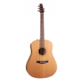 Guitare SEAGULL S6 Collection 1982