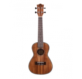 Ukulélé PRODIPE Concert BC2380